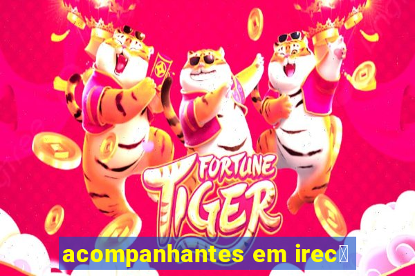 acompanhantes em irec锚