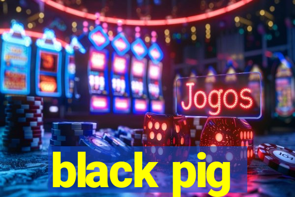 black pig