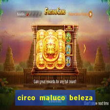 circo maluco beleza recife circo maluco