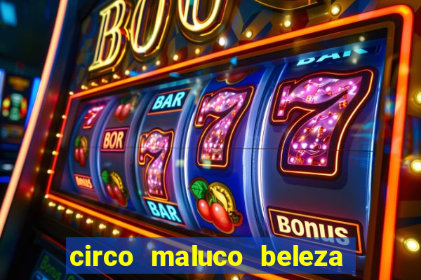 circo maluco beleza recife circo maluco