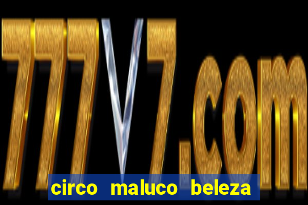 circo maluco beleza recife circo maluco