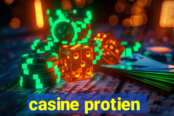 casine protien