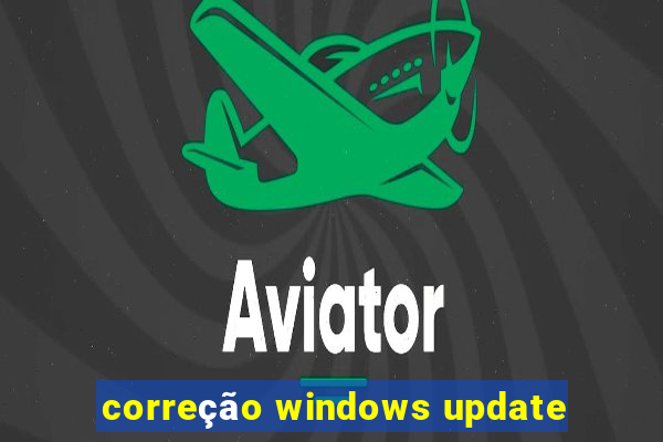 correção windows update