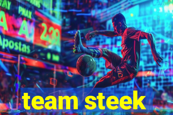 team steek