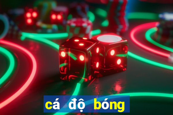 cá độ bóng đá online