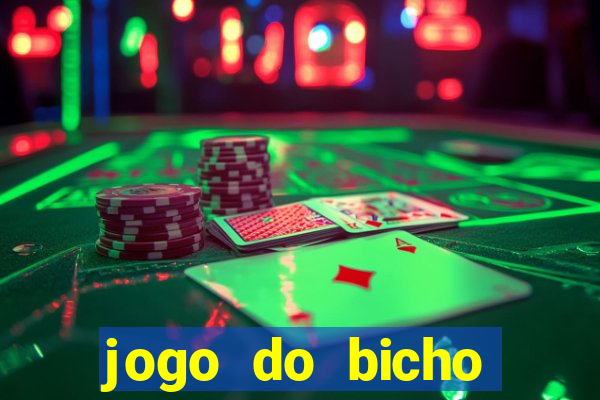 jogo do bicho crash mines