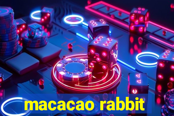 macacao rabbit