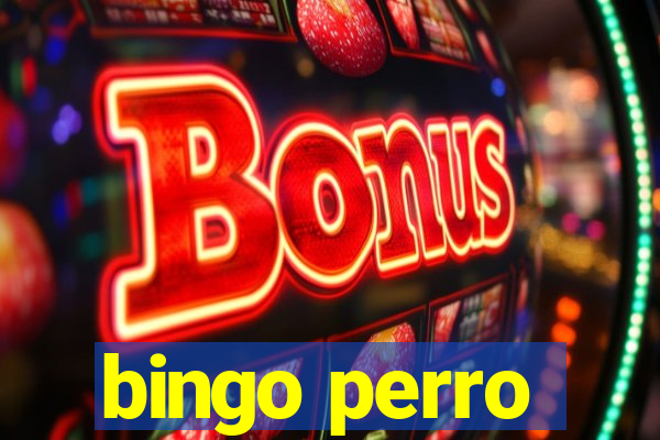 bingo perro