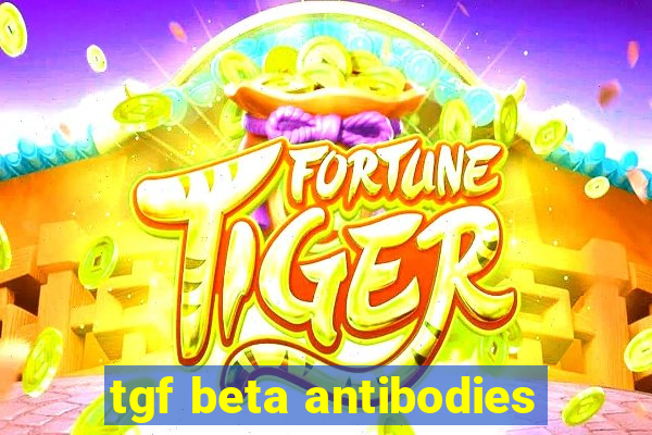 tgf beta antibodies