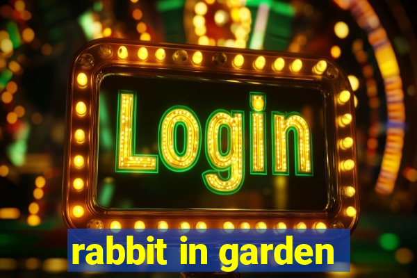 rabbit in garden