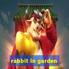 rabbit in garden