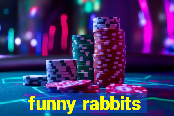 funny rabbits