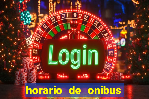 horario de onibus passaro marrom