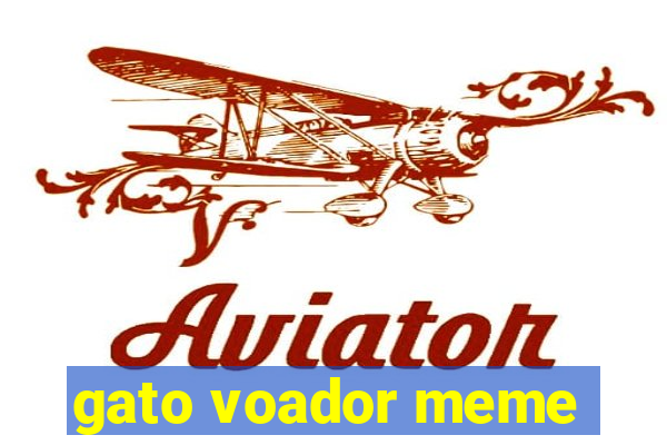 gato voador meme