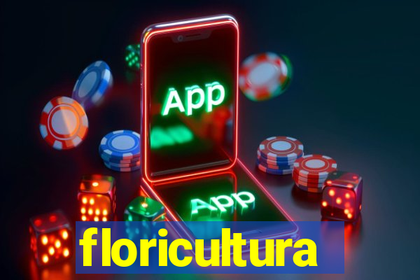 floricultura cruzeiro novo