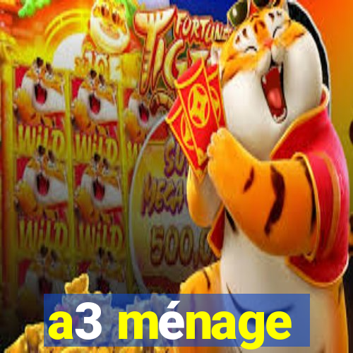 a3 ménage