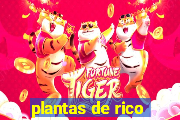 plantas de rico