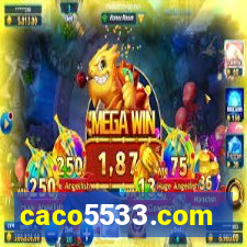 caco5533.com