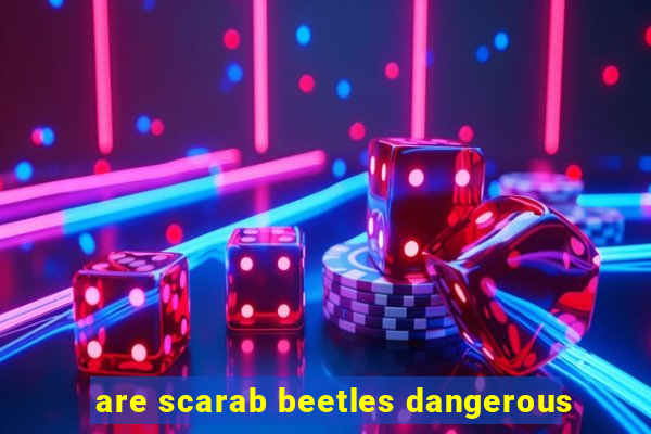 are scarab beetles dangerous