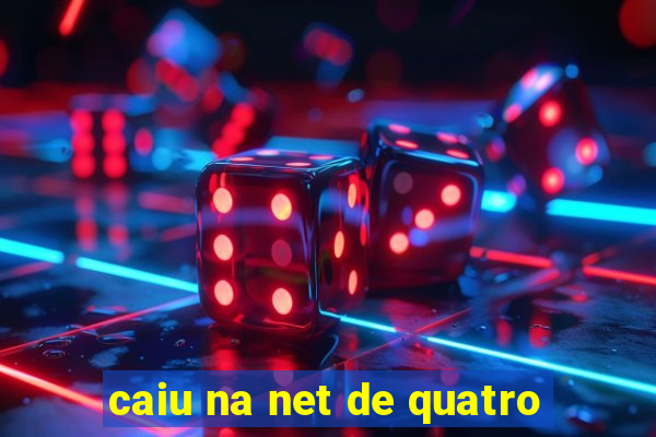 caiu na net de quatro