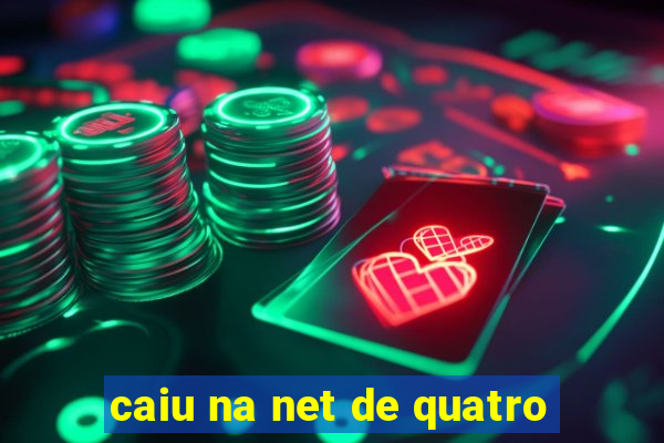 caiu na net de quatro