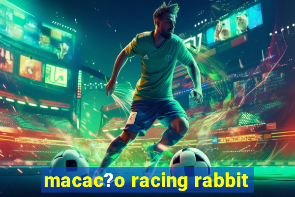 macac?o racing rabbit