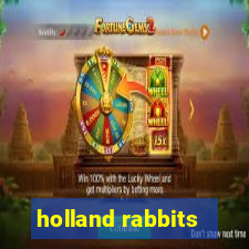 holland rabbits