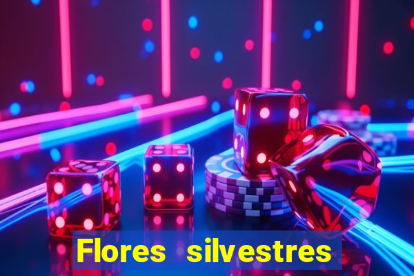 Flores silvestres brasileiras 25