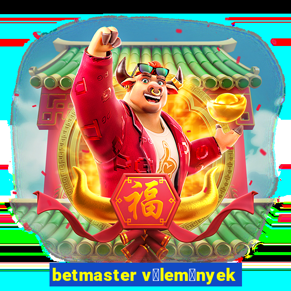 betmaster v茅lem茅nyek