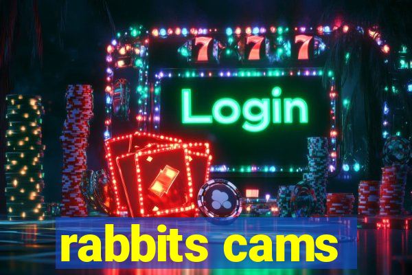 rabbits cams