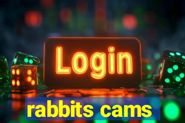 rabbits cams