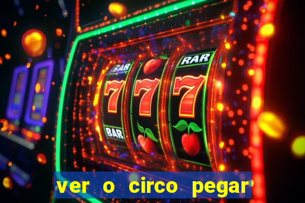 ver o circo pegar fogo significado