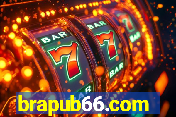 brapub66.com