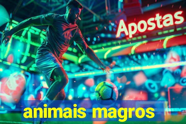 animais magros