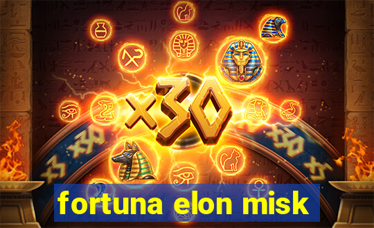 fortuna elon misk