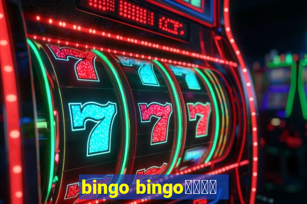 bingo bingo線上投注