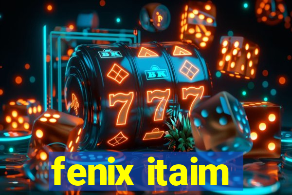 fenix itaim