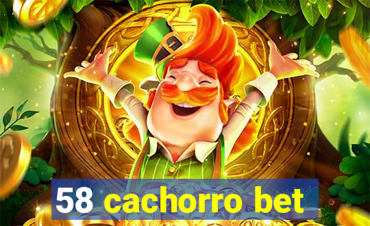 58 cachorro bet