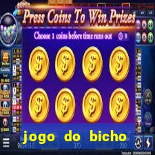 jogo do bicho banca ouro verde