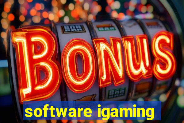 software igaming