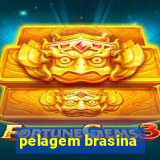 pelagem brasina