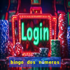 bingo dos números de 0 a 10