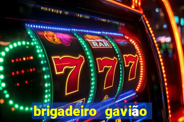 brigadeiro gavião peixoto 360