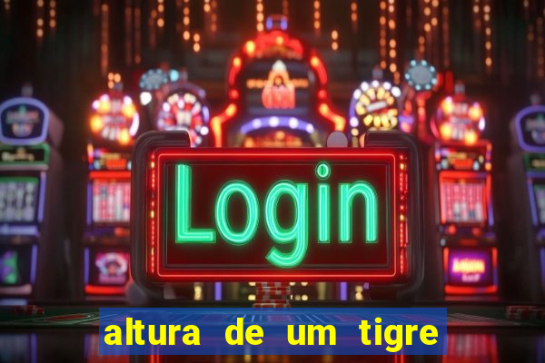 altura de um tigre em pé