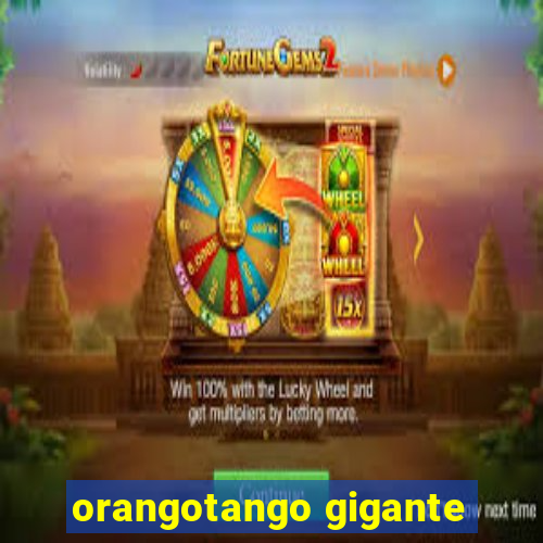 orangotango gigante