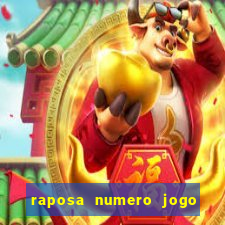 raposa numero jogo do bicho