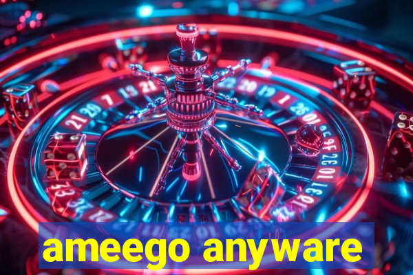 ameego anyware