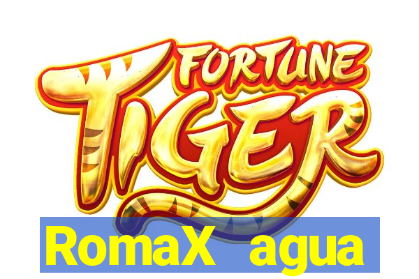 RomaX agua sanitaria fispq agua sanitaria romax