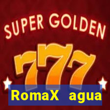 RomaX agua sanitaria fispq agua sanitaria romax