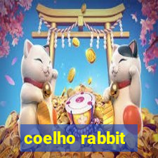 coelho rabbit